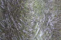 Old Wives Lees fibreglass roof work